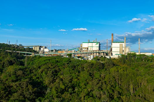 Exploring the Environmental Impact of Brazil's Growing Casino Industry